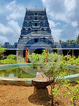 Holy basil or tulsi plant leaves near the small pond, ancient Hindu temple architecture