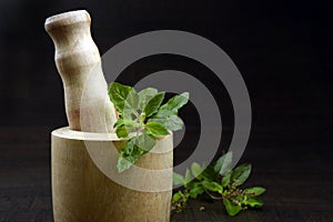 Holy Basil or Tulsi queen of herbs and wooden mortar