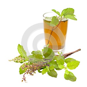 Holy Basil Tulsi Tea Ayurvedic Remedy
