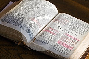 Holy Bible photo