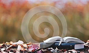 Holy bible and autumn leaves on red maple leaves