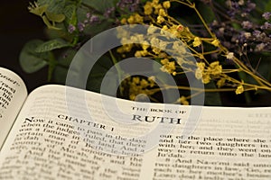 Holy bible Book Index Subject The Book of Ruth for background and inspiration