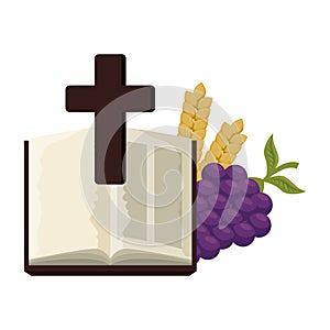 Holy bible with cross and grapes