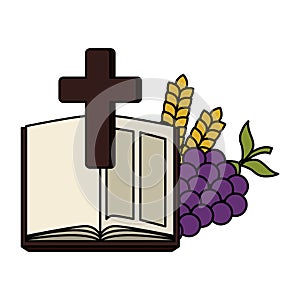 Sagrada Biblia cruz a uvas 