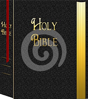 HOLY BIBLE GRAPHIC