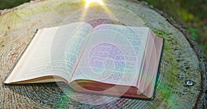 Holy Bible. Open sacred book on a natural background. Forest nature. Rays of sunlight fall on the pages. Big old stump.