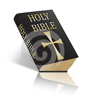 The Holy Bible - Sacred Scriptures