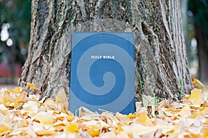 Holy Bible on tree trunk outdoors in autumn with yellow fallen leaves. Close-up
