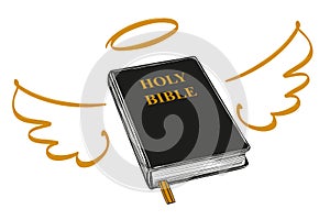 Holy Bible with wings and halo gospel, the doctrine of Christianity, symbol of Christianity hand drawn vector