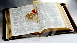 Holy Bible; Word of God with shaft of wheat.