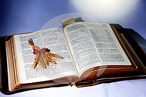 Holy Bible; Word of God with shaft of wheat.