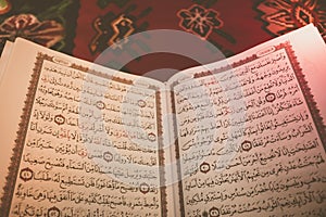 The Holy Quran. Verses in the holy Quran