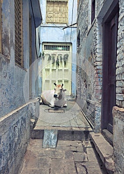 Holy city of Varanasi, India