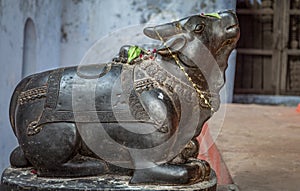 Holy cow granite sculpture at Hindu temple at Varanasi India
