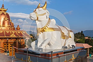 Holy cow statue sit in front of The statue of Lord Shiva at Siddhesvara Dhaam in Namchi. Sikkim, India