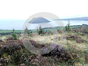 Holy island viewed from Brodick hills