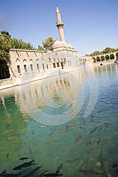 Holy Lake & Mosque
