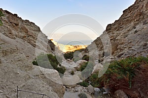 Holy Land of Israel. Ein Ghedi Reserve. photo