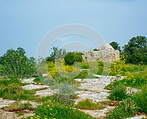 Holy Land Series - Gad Hill4