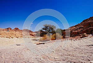 Holy Land Series - Timna Valley 22