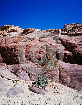 Holy Land Series - Timna Valley 23