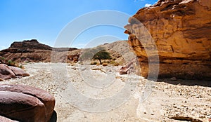 Holy Land Series - Timna Valley 24