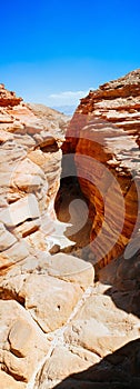 Holy Land Series - Timna Valley 31