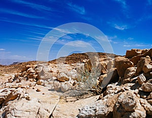 Holy Land Series - Timna Valley 34