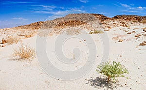 Holy Land Series - Timna Valley 35