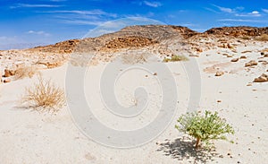 Holy Land Series - Timna Valley 36