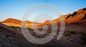 Holy Land Series - Timna Valley 39