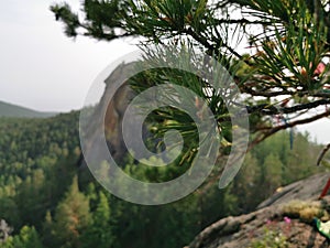 Holy places in the forest in Russia