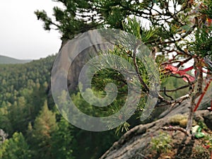 Holy places in the forest in Russia