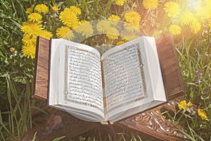 The Holy Quran