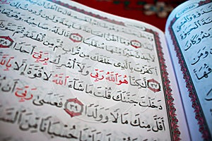 The Holy Quran. Verses in the holy Quran