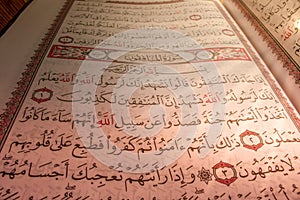 The Holy Quran. Verses in the holy Quran