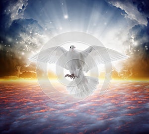 Holy spirit bird flies in skies, bright light shines from heaven photo