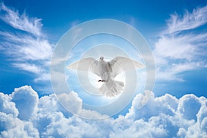 Holy Spirit came down in bodily shape, like dove. Bright light shines from heaven, white dove is symbol of purity and peace