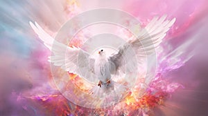 The Holy Spirit Dove