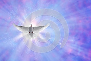 Holy spirit dove on shining sky with rays