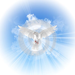 Holy Spirit Ghost Baptism Dove Falling from Sky Clouds Illustration