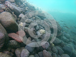 `La Ensenada` beach in the Holy Spirit island