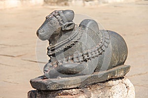 Holy stone cow in Virupaksha temple. The figure of the sacred co