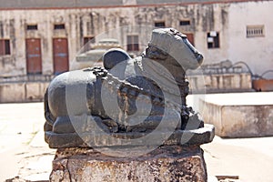 Holy stone cow in Virupaksha temple. The figure of the sacred co