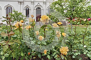 Holy Trinity Mariinsky convent, Russia.