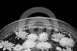 Holy water in silver bowl in temple at thailand black and white color isolated on black background