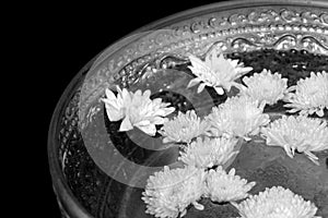 Holy water in silver bowl in temple at thailand black and white color isolated on black background