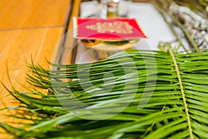 Holy week – palm sunday – green palms