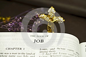 The Holybible book of The book of Job Index for background and inspiration vintage style