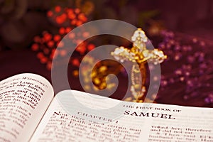 The Holybible book of The First book of Samuel Index for background and inspiration